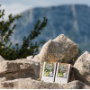 Tisane thym sauvage et verveine - Aromandise - gamme