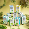 menthe - cristaux d'huiles essentielles - Aromandise - promo
