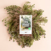 Tisane thym sauvage des garrigues - Aromandise - ambiance