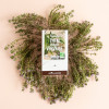 Tisane thym sauvage et verveine - Aromandise - ambiance 