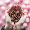 Boutons de rose - Fleurs à croquer - Aromandise - Ambiance
