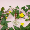 Forêt de fleurs - Karin - Encens japonais - Les Encens du Monde - Aromandise - utilisation