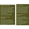 Tisane relaxante Hildegarde sachets - Hildegarde de Bingen - Aromandise - infos
