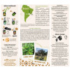 MATE VERT SAUVAGE - infos