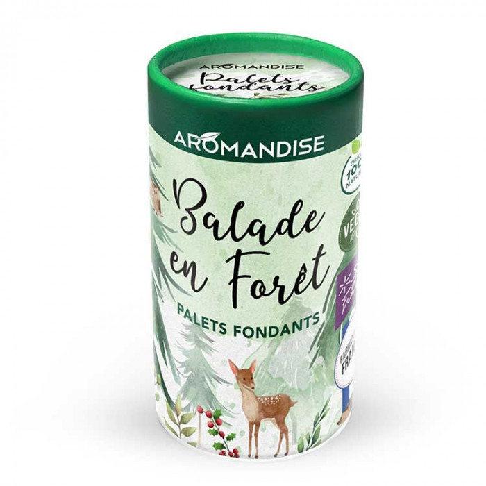 PALETS FONDANTS BALADE EN FORET