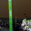 Encens Découverte Jasmin - Les Encens du Monde - Aromandise - ambiance