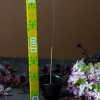 Encens Découverte Cèdre - Les Encens du Monde - Aromandise - ambiance