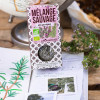 Mélange sauvage des Garrigues - ambiance
