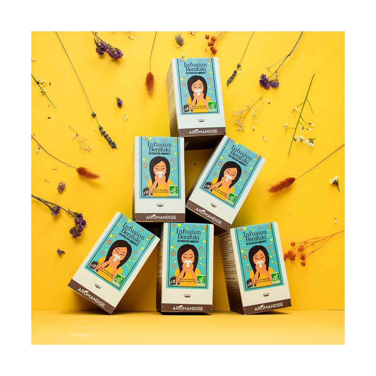 Pack cure Benifuki - respiration Immunité x 6