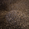Thé Bancha grillé Hojicha - thé bio japonais - Aromandise - feuilles
