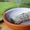 Tresse de Sauge blanche Occitanie utilisation