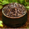 Thé Bancha grillé Hojicha - thé bio japonais - Aromandise - ambiance