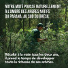 Maté gourmand cacao tonka - histoire - Aromandise