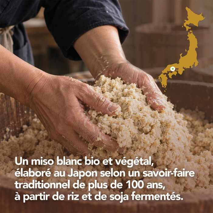 Miso Blanc Crémeux - épicerie japonaise - Aromandise - Histoire