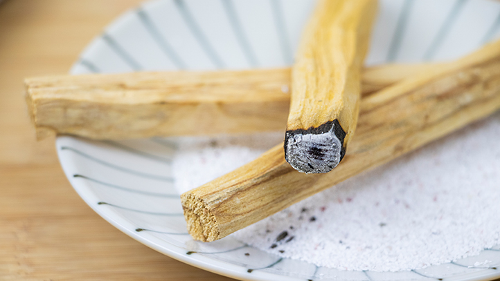 récolte et vertus du palo santo