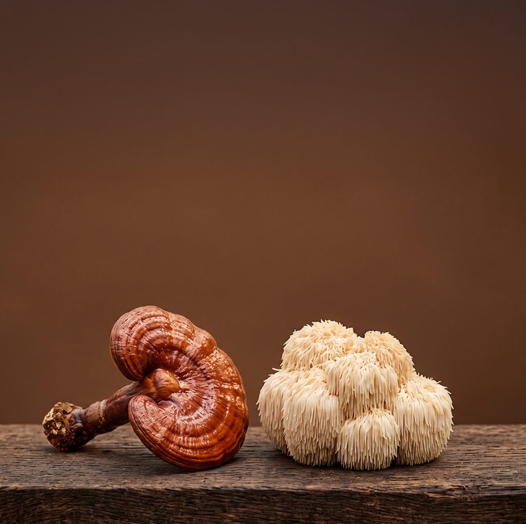 reishi et lion's mane