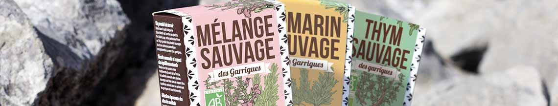 Plantes sauvages des Garrigues