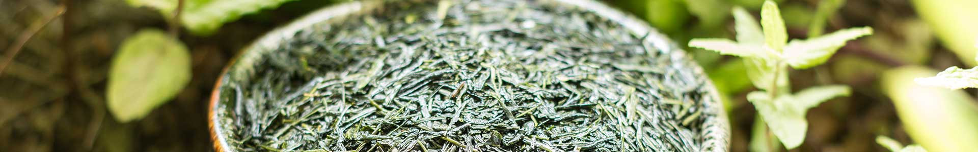 Thé Sencha bio – Le Thé Japonais d'Exception