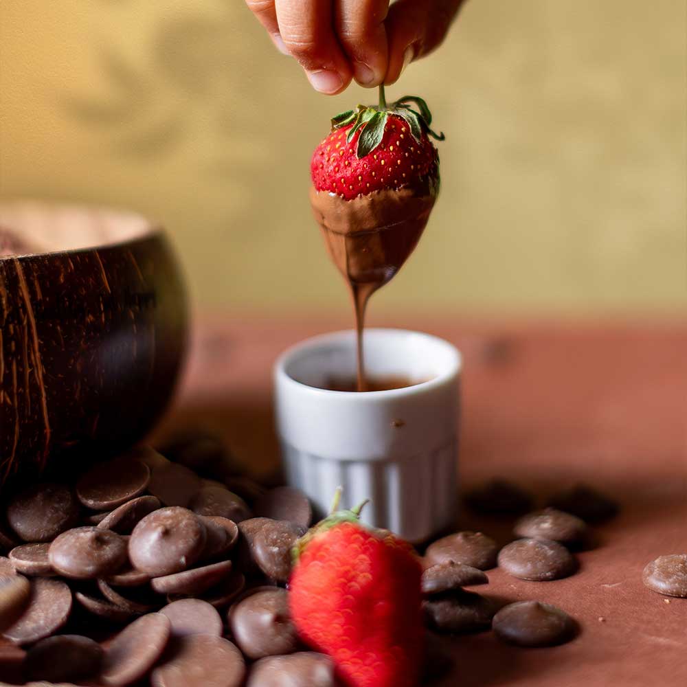 Substituts de chocolat Zero Choco - savourer le chocolat autrement